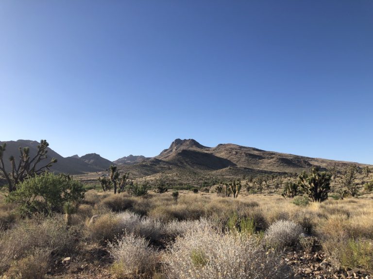 Out on the Box: Castle Mountains National Monument – National Park Units